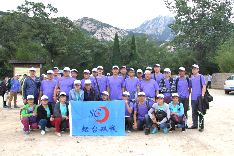 Group construction of the company